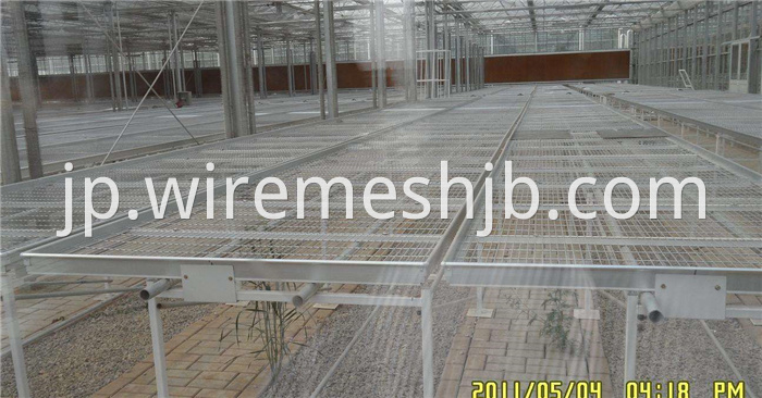 Seedling Bed Mesh